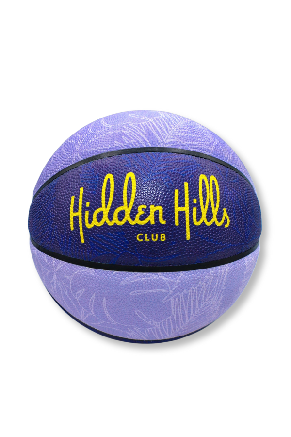 purple Basketball laker colors