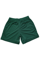Stylish Green Mesh Shorts